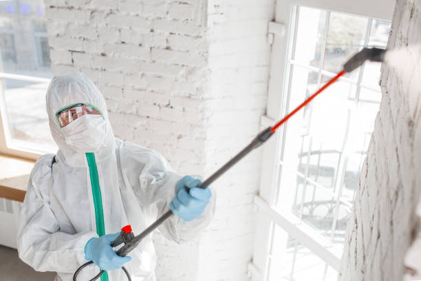 Best Biohazard Mold Removal  in Poynette, WI